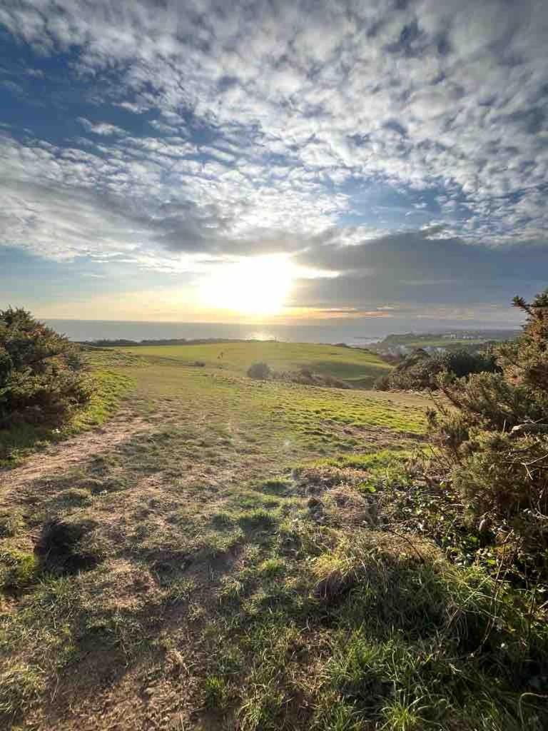 Fern Cottage Iden, Rye Экстерьер фото
